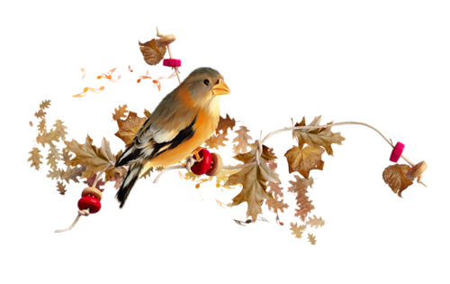 őszi állatok_58.png